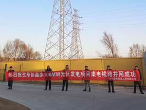 辽宁省阜新市 100MW 农光互补光伏项目