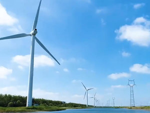 天津宁河 20MW 分散式风电项目