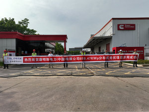 武汉康明斯电力 860KW 分布式光伏项目